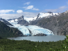 View of Kenai Lowland in Alaska, (July 2019) Photo credit: Professor Jason Briner
