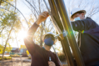 All masked up due to COVID-19, students work on the structure. Students worked in teams that alternated days in order to reduce density at the site. Photo: Meredith Forrest Kulwicki