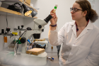 Kelsey Swinter, a master’s student in biological sciences, examines a tube of fruit flies housed in the lab.