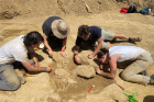 UB and international students excavating one of the burial sites at Podere Cannicci earlier this summer.